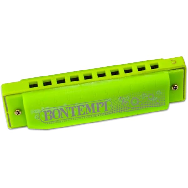 2 Armoniche Bambini 16 Buche In Legno - Strumento Musicale Educativo - Foto 9