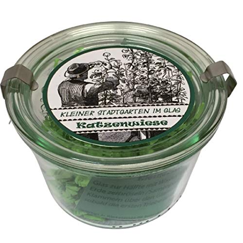 Preisvergleich Produktbild Wunderle Kleiner Großstadtgarten Katzenwiese im 370 ml Weckglas