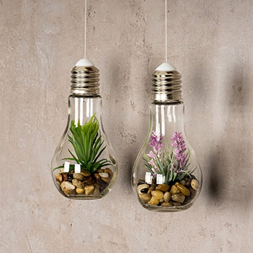 2er Set Sukkulenten LED Glühbirne Glas B x H: 8x19cm Deko Lampe Kunstpflanze Grün Rosa Hängelampe - 3