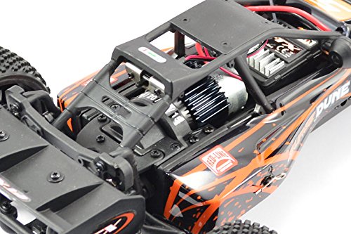 FTX Surge 1/12 Brushed Buggy Ready-To-Run (Orange/Black)