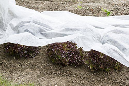 Windhager Garten-Vlies Aktion, Weiß, 10 x 1,5 m - 4