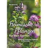 Heimische Pflanzen für den Garten: 100 Blumen, Sträucher und Bäume für Biene & Co.