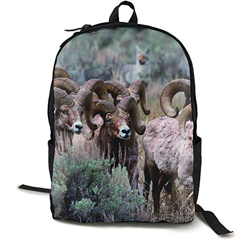 Preisvergleich Produktbild HOJJP Schultasche Bighorn Sheep Canvas Backpack School Bag Travel ypack