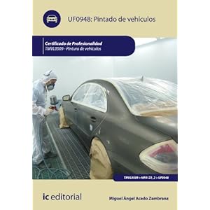 Pintado de vehículos. TMVL0509