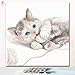 Produktbild KYKDY Tierkatzen in einer Tasse digitales Ölgemälde Färbung Zahlen Bilder nach Zahlen mit Farben und Pinsel für Kinder, die Farbe lernen, 7304 cat14,40x40 kein Rahmen