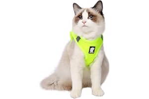 LIANZIMAU Set di Pettorina e guinzaglio per Gatti, a Prova di Fuga, Riflettente, Regolabile, in Morbida Rete, Imbottita, per Cuccioli, Gattini, Passeggiate all'aperto nuovo Grigio