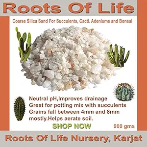 RootsOfLife Silica Sand To Grow Cactus, Succulents and Bonsai, 900 gms