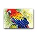 Produktbild Fashion Decorative Door Mat Rug Oil Painting Parrot Art Indoor/Outdoor/Floor Doormat 40cm X 60cm40cm X 60cm