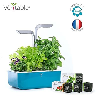 Veritable Potager Véritable® SMART Teal Blue - Technologie ADAPT' LIGHT - Jardin autonome d'intérieur Made in France (Bleu/Gris argenté)
