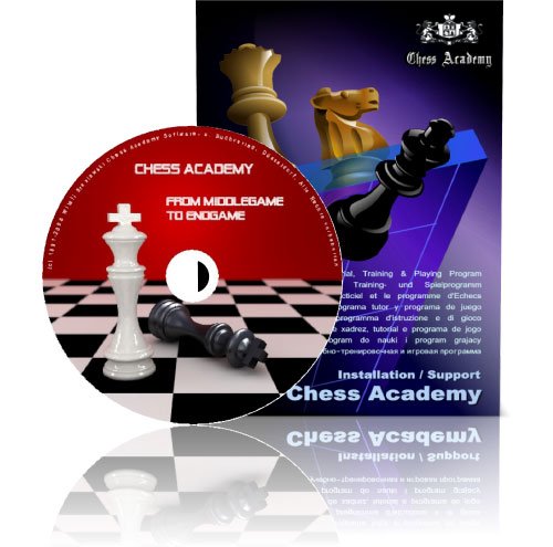 Preisvergleich Produktbild CHESS ACADEMY From Middlegame To Endgame (Vol. I, II)
