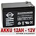 Produktbild Akku 12V 12 AH AGM Blei Gel Batterie extrem zyklenfest Elektro Fahrrad E-Bike E Scooter Pedelec 12 Volt