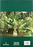 Image de Palmeras : morfología, cultivo y reproducción (GUIAS DEL NATURALISTA-ARBOLES Y ARBUSTOS)