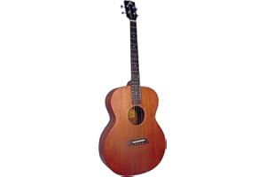 Ashbury AT-24 Tenor Guitar
