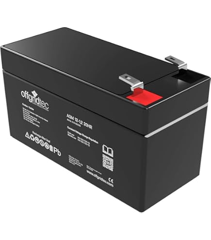 Batería FIAMM AGM 42Ah - Ideal Para Fotovoltaico