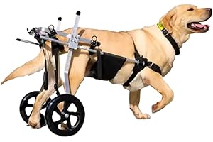 Rmeet Fauteuil Roulant pour Chien de Taille Moyenne et Grande, Aide à la rééducation, attelle de Jambe arrière, Chariots pour Chien avec Roues, pour la rééducation des Pattes arrière