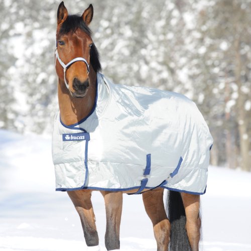 Preisvergleich Produktbild Bucas Power Turnout Extra H / N 155 Silver