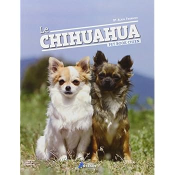 Le Chihuahua Le Chihuahua