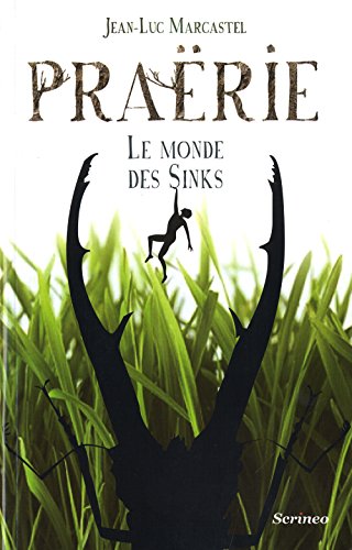 <a href="/node/53">Le monde des Sinks</a>