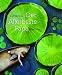 Cover zum Buch Der allerbeste Papa