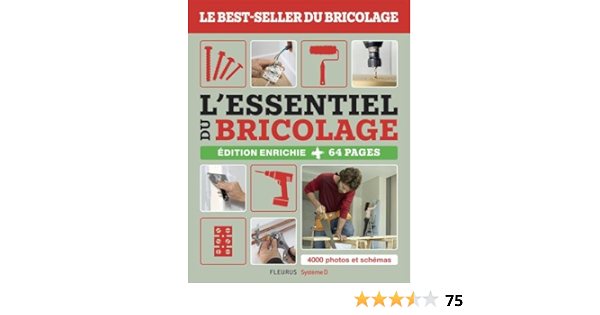 Amazon Fr L Essentiel Du Bricolage Guillou Bruno Roebben Francois Vidal Nicolas Sallavuard Nicolas Livres