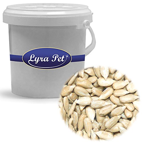 2,5 kg Eimer Sonnenblumenkerne geschält Vogelfutter