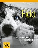 Fido (GU Tier Spezial) by