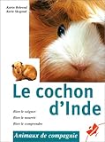 Le cochon d'Inde