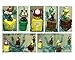 Produktbild Nintendo Super Mario Brothers 5-teiliges Spiel Szene Weihnachtsbaum Mini Ornament Set mit 6,3 cm Ornaments of Mario, Luigi, Goomba, Koopa Troopa, und Pilz Ornamente – Perfekt für einem Schreibtisch Baum oder Kinder Weihnachtsbaum