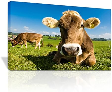 Daisy The Cow Sitting In A Field Canvas Print Animals Nature X-Mas Gift - C062