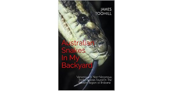Australian Snakes In My Backyard Venomous Non Venomous Snake