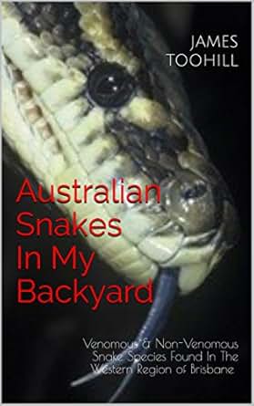 Australian Snakes In My Backyard Venomous Non Venomous Snake