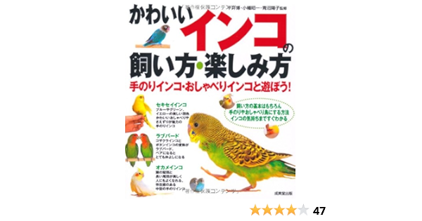 かわいいインコの飼い方 楽しみ方 Amazon De Bucher