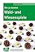 Die 50 besten Wald- und Wiesenspiele - eBook (Don Bosco MiniSpielothek) by Andrea Erkert