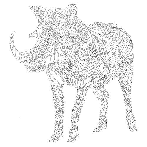 Millie Marotta's Wild Savannah: A Colouring Book Adventure (Colouring Books)