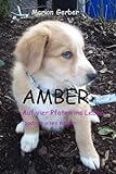Cover zum Buch AMBER: Auf vier Pfoten ins Leben