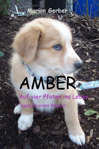 AMBER - Auf vier Pfoten ins Leben (Tagebuch eines Welpen)