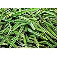 Krish Brand - Fresh Pirandai/Adamant (???????) Hadjod, Intagro Farms Cissus Quadrangularis, Asthisamhari, Pirandai-Creeper 500 Grams - Herbs