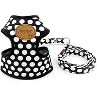 Smalllee_Lucky_store Hundegeschirr mit Leine und weicher Nylon-Netzweste für kleine Haustiere, Katzen-/Hundegeschirr