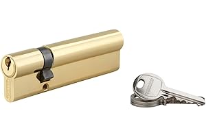 THIRARD - Cylindre à clé crantée 30 x 80 mm laitonné 3 clés