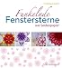 Produktbild Funkelnde Fenstersterne aus Seidenpapier