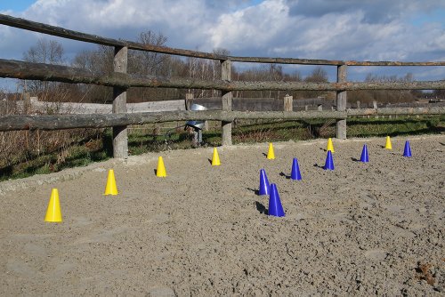 Das HAEST Reitsport Set – 10 Blaue und 10 Gelbe bruchfeste Hütchen mit Tragetasche - 3