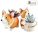 Produktbild Welsh Corgi Übertopf Blumentopf Pflanzkasten Sukkulente Hund (Set von 2)