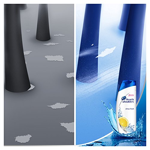 Head & Shoulders Citrus Fresh Anti-Schuppen Shampoo, 6er Pack (6 x 500 ml) - 2