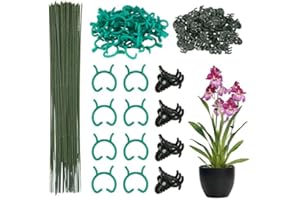 DKINY 50pcs Tuteur Vert Plante 30cm en Plastique avec Clips et Pinces Support Plantes Grimpante pour Jardin Attache Tomate Orchidée Maison Jardinage Intérieur Extérieur