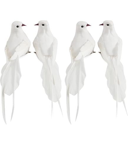 Due Colombe Immagine Stock. Immagine Di Uccello, Animale - 8862489 - Foto 3