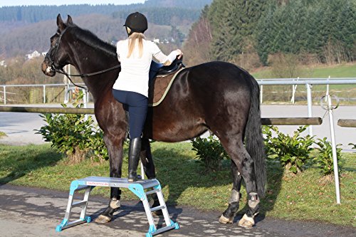 Die Laufbühne – Arbeitsplattform, Laufbühne aus Aluminium – die ideale Hilfe beim Beladen, Reiten, Camping, im Haushalt - 7