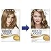 Clairol Nice'n Easy Permanent Hair Dye 106/8A Natural Medium Ash Blonde