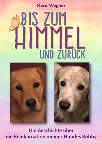 Bis zum Himmel und zurück: Die Geschichte über die Reinkarnation meines Hundes Bobby