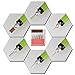 Nail Art Drill Kit File Finger Toe Polish Buffer Pedicure Manicure Acrylics Tool Electric Pen Shape with Multi Sanding Bits and Power Adapter For Salon Personal Use (Green)