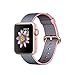 Produktbild Apple MNP02ZD/A "Watch 2" Nylonarmband 38mm, Aluminium rosegold/rosa/blau